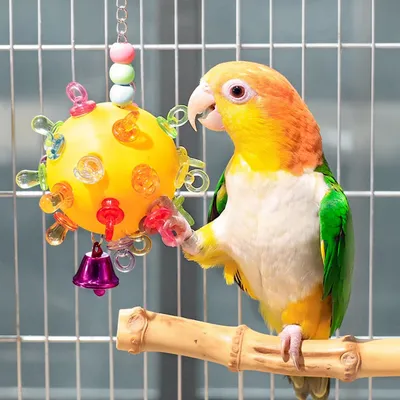 Zoomtopia Balle étoile jouet pour oiseau