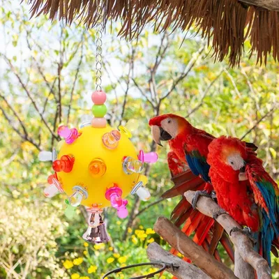 Zoomtopia Balle étoile jouet pour oiseau