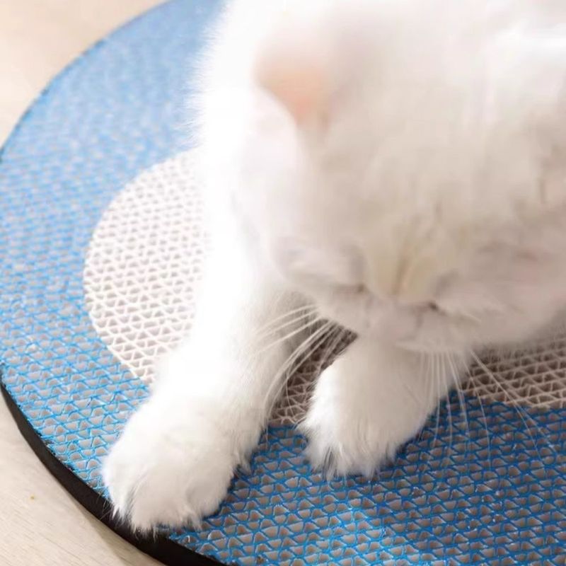 Zoomtopia Griffoir suspendu pour chat