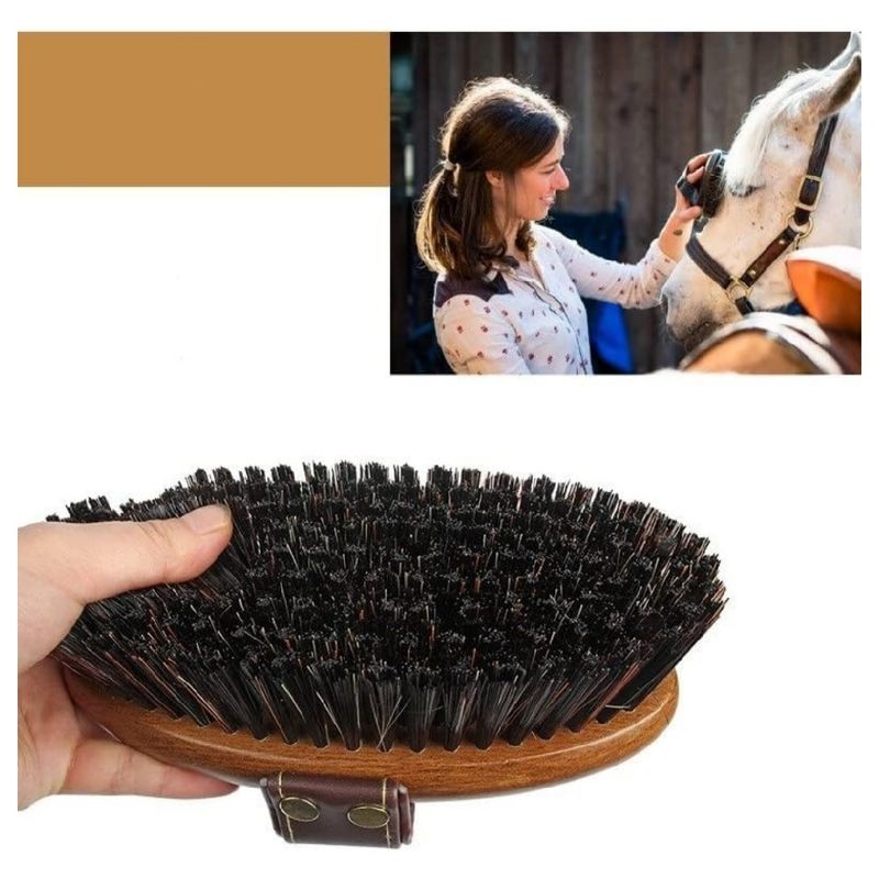 ZooVenture Brosse multifonction pour cheval
