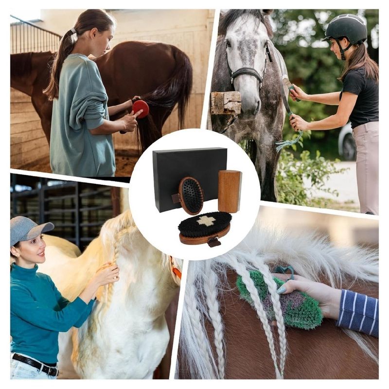 ZooVenture Kit de brosses de toilettage pour cheval