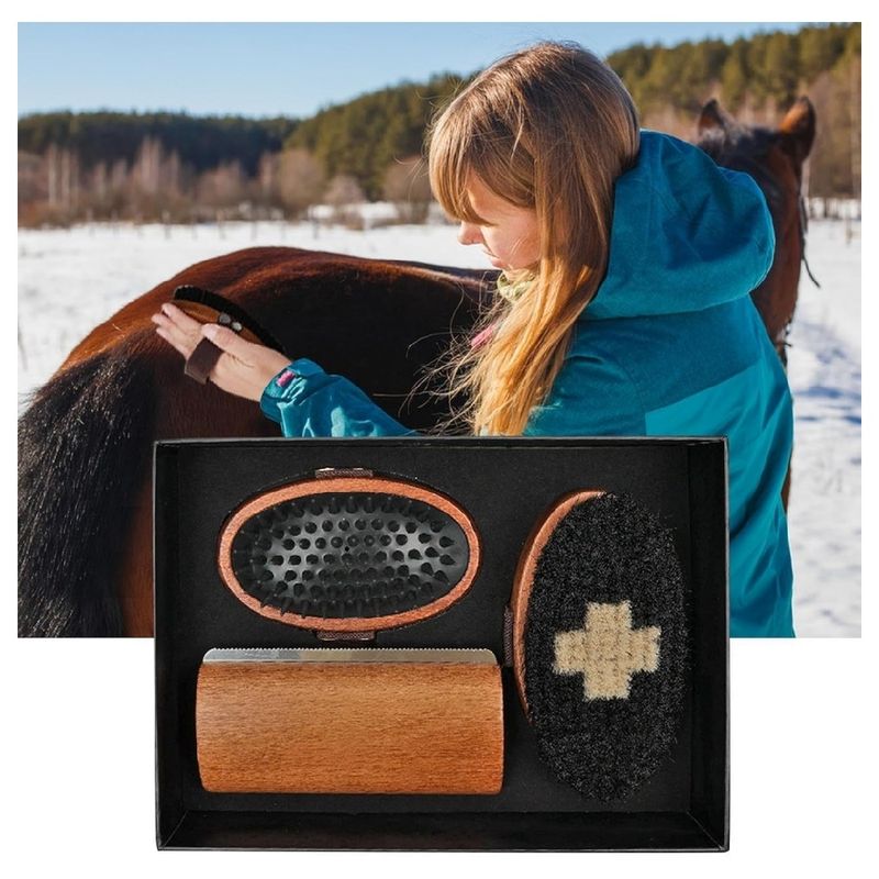 ZooVenture Kit de brosses de toilettage pour cheval