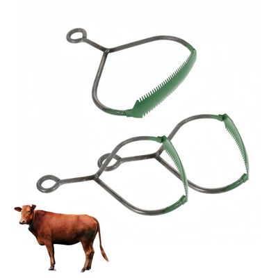 ZooVenture Toilettage set pour cheval