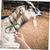 ZooVenture Toilettage set pour cheval