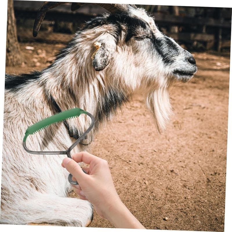 ZooVenture Toilettage set pour cheval