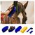 ZooVenture Ensemble d'outils de toilettage pour cheval