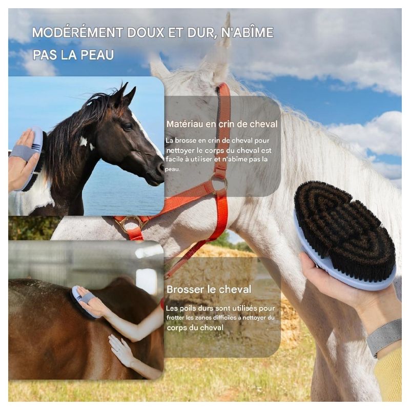 ZooVenture Brosse multifonction pour cheval
