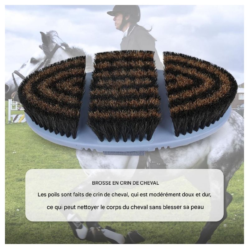 ZooVenture Brosse multifonction pour cheval