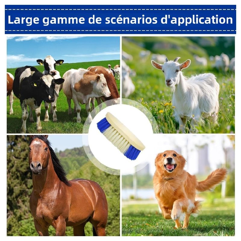 ZooVenture Brosse pour toilettage de cheval