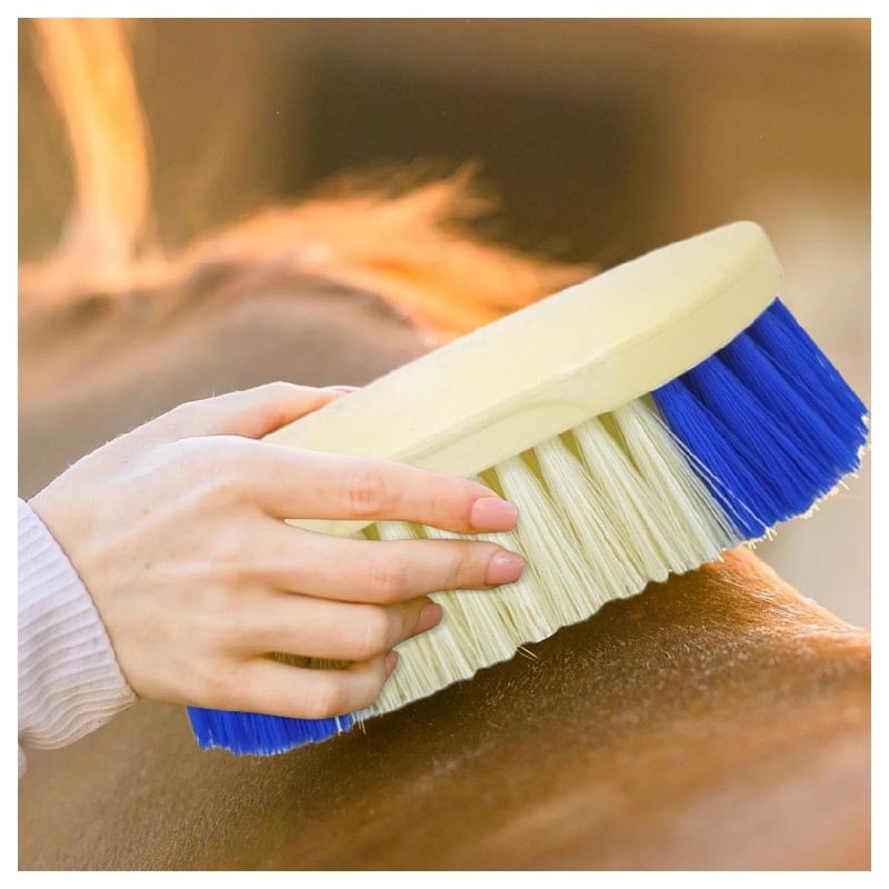 ZooVenture Brosse pour toilettage de cheval