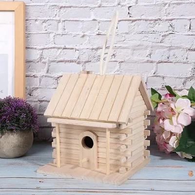 Pawzy Maison en bois pour oiseaux d'extérieur