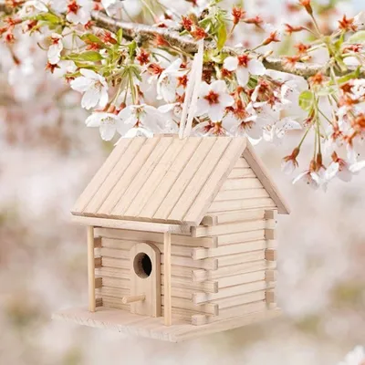Pawzy Maison en bois pour oiseaux d'extérieur