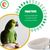 Pawzy Nid en coton tissé main pour petits oiseaux