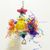 Pawzy Jouet pour perroquet
