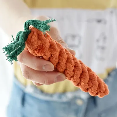 Pawzy Lot de 2 jouets à mâcher pour petits chiens