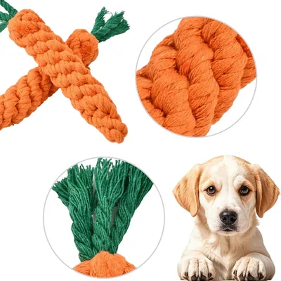 Pawzy Lot de 2 jouets à mâcher pour petits chiens