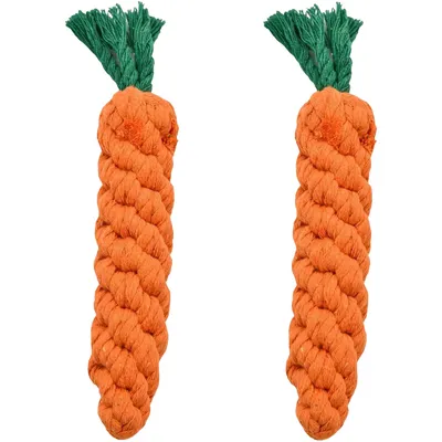 Pawzy Lot de 2 jouets à mâcher pour petits chiens