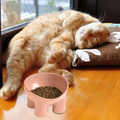Zoomtopia Bol de nourriture pour chat surélevé