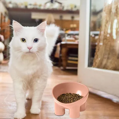 Zoomtopia Bol de nourriture pour chat surélevé