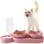 Zoomtopia Double gamelle anti-basculement pour chien et chat