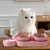 Zoomtopia Double gamelle anti-basculement pour chien et chat