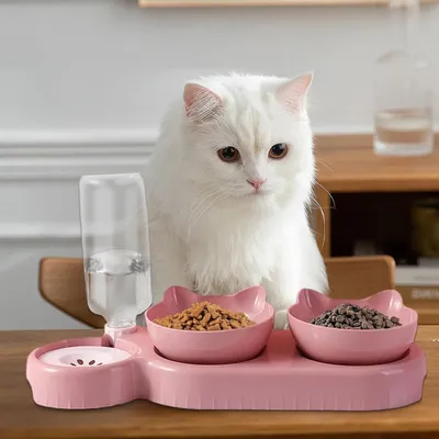 Zoomtopia Double gamelle anti-basculement pour chien et chat