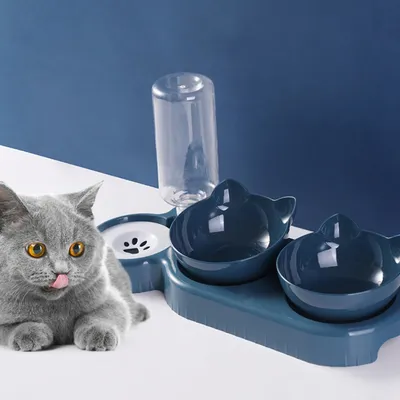 Zoomtopia Double gamelle anti-basculement pour chien et chat