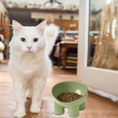 Zoomtopia Bol de nourriture pour chat surélevé