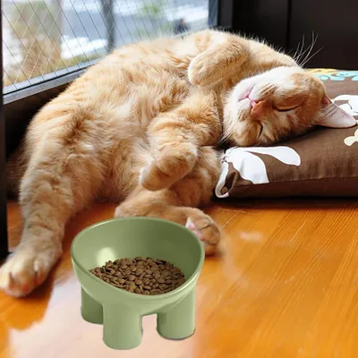 Zoomtopia Bol de nourriture pour chat surélevé