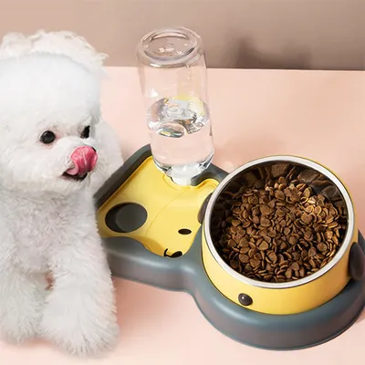 Pawzy Distributeur d'eau pour chat