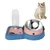 Pawzy Distributeur d'eau pour chat