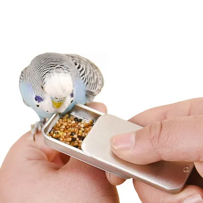 Zoomtopia Mini mangeoire à oiseaux portable