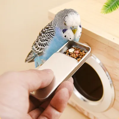 Zoomtopia Mini mangeoire à oiseaux portable