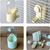 Pawzy Distributeur d'eau anti-fuite pour perroquet