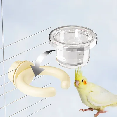 Pawzy Bol à fixer pour petits perroquets