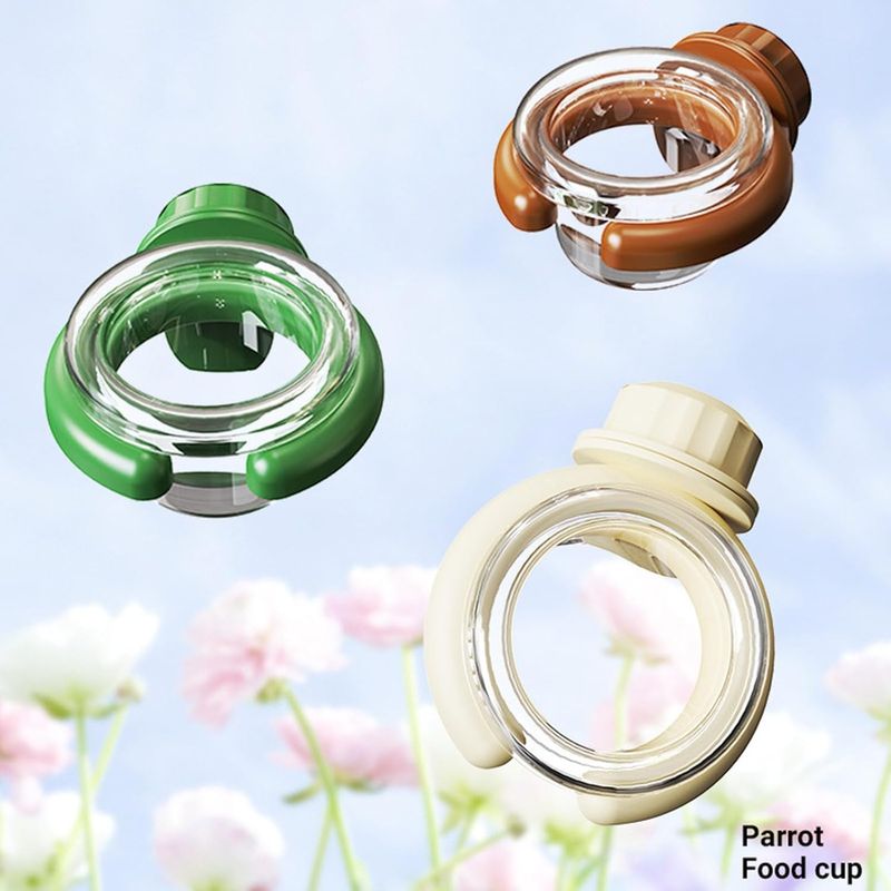 Pawzy Bol à fixer pour petits perroquets