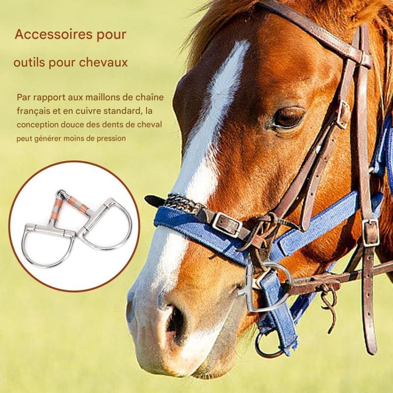 Mors De Cheval Articulé Showman Products - Tige Courte Confort 5 Bouches Cuivre