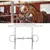 ZooVenture Mors articulé à anneau pour cheval