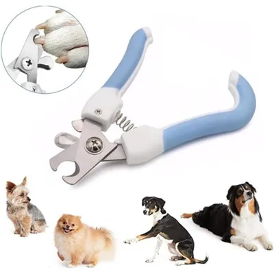 Pawzy Coupe-ongles pro chat/chien - Acier inox & sécurité anti-surcoupe