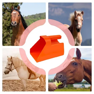 ZooVenture Pelle à grains pour bétail