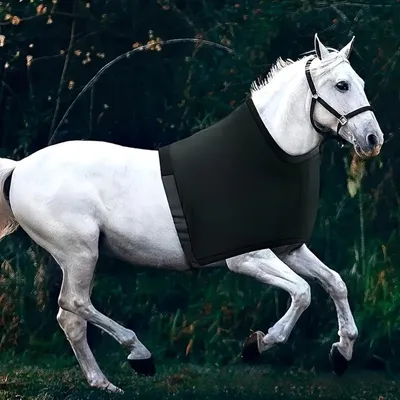 ZooVenture Protège - épaules élastique pour cheval