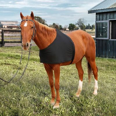 ZooVenture Protège - épaules élastique pour cheval