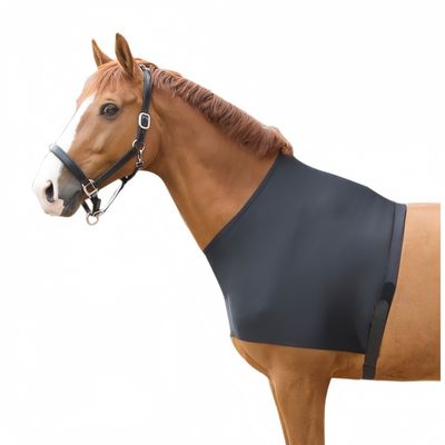 ZooVenture Protège - épaules élastique pour cheval