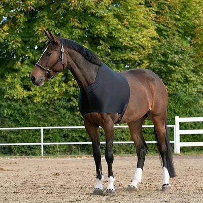 ZooVenture Protège - épaules élastique pour cheval