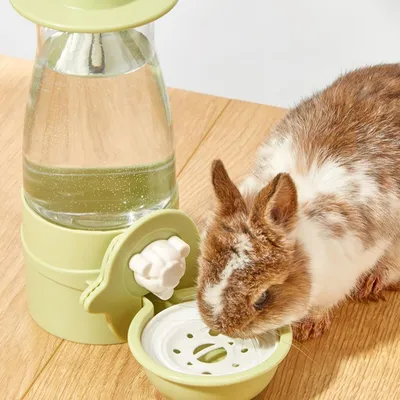 Zoomtopia Abreuvoir automatique pour animaux