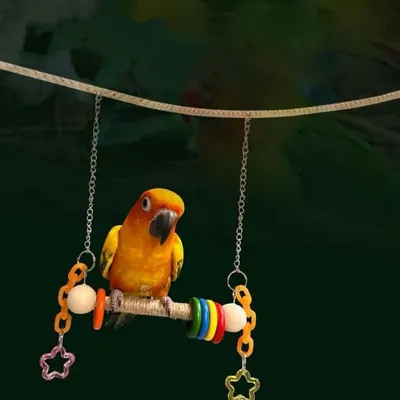 Zoomtopia Balançoire pour oiseaux