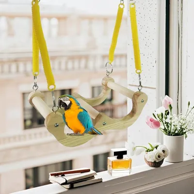 Zoomtopia Swing de perruche en bois