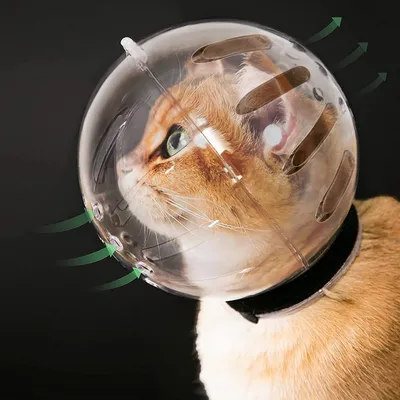 Zoomtopia Casque respirant pour chat