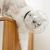 Zoomtopia Casque respirant pour chat