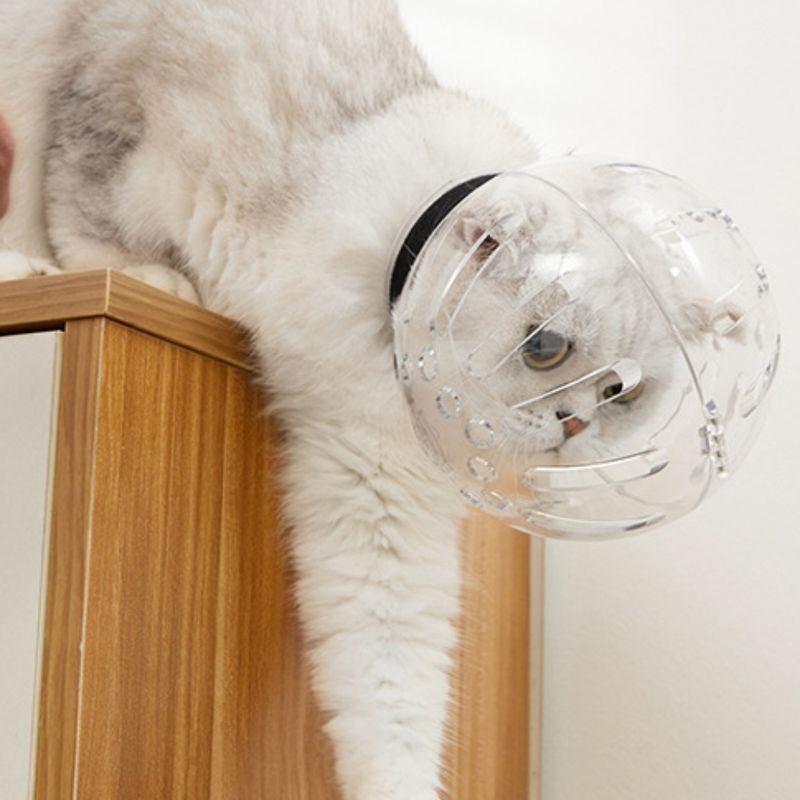 Zoomtopia Casque respirant pour chat